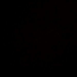 Meet your Posher, Carolina